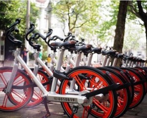 摩拜早期投資人劉二海：當(dāng)你足夠強(qiáng)大，自不必與巨頭為伍